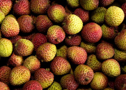 【檔期結束】高雄荔枝大集合