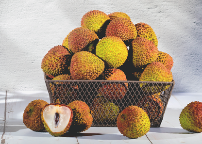 【檔期結束】高雄荔枝大集合