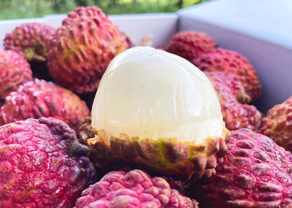 【檔期結束】高雄荔枝大集合