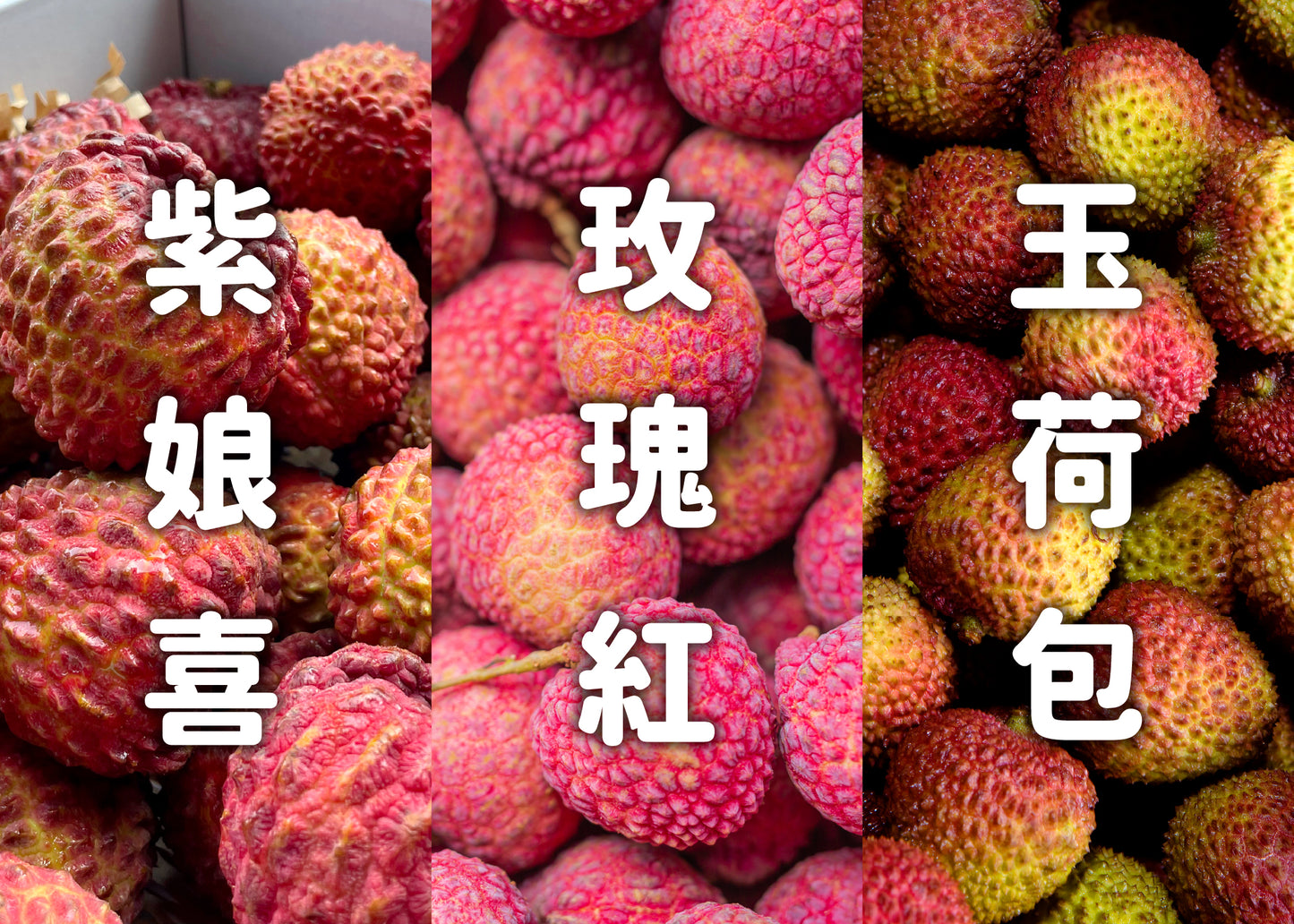 【檔期結束】高雄荔枝大集合