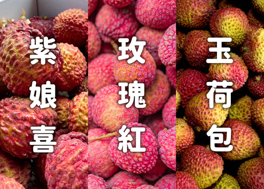 【檔期結束】高雄荔枝大集合