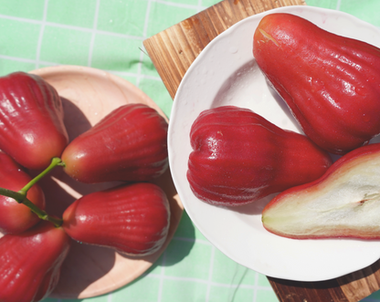 【檔期結束】黑糖芭比蓮霧